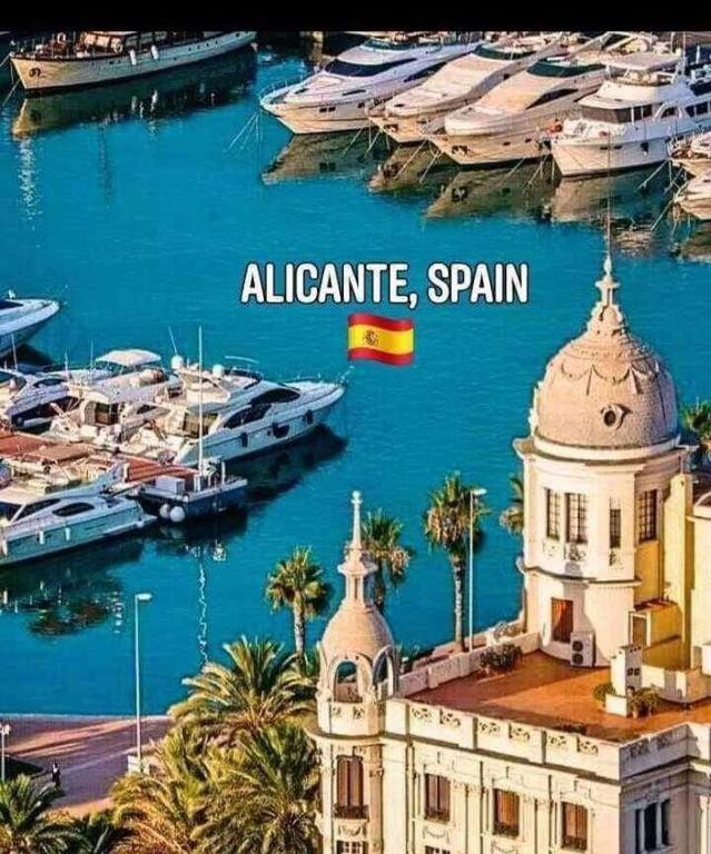 Magic Apartament - Alicante Exterior photo